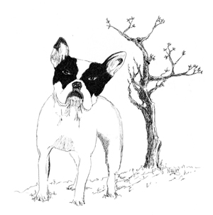 French-Bulldog-Alpha-Omega-Art-by-Nikki-Ikonomopoulos-THUMB