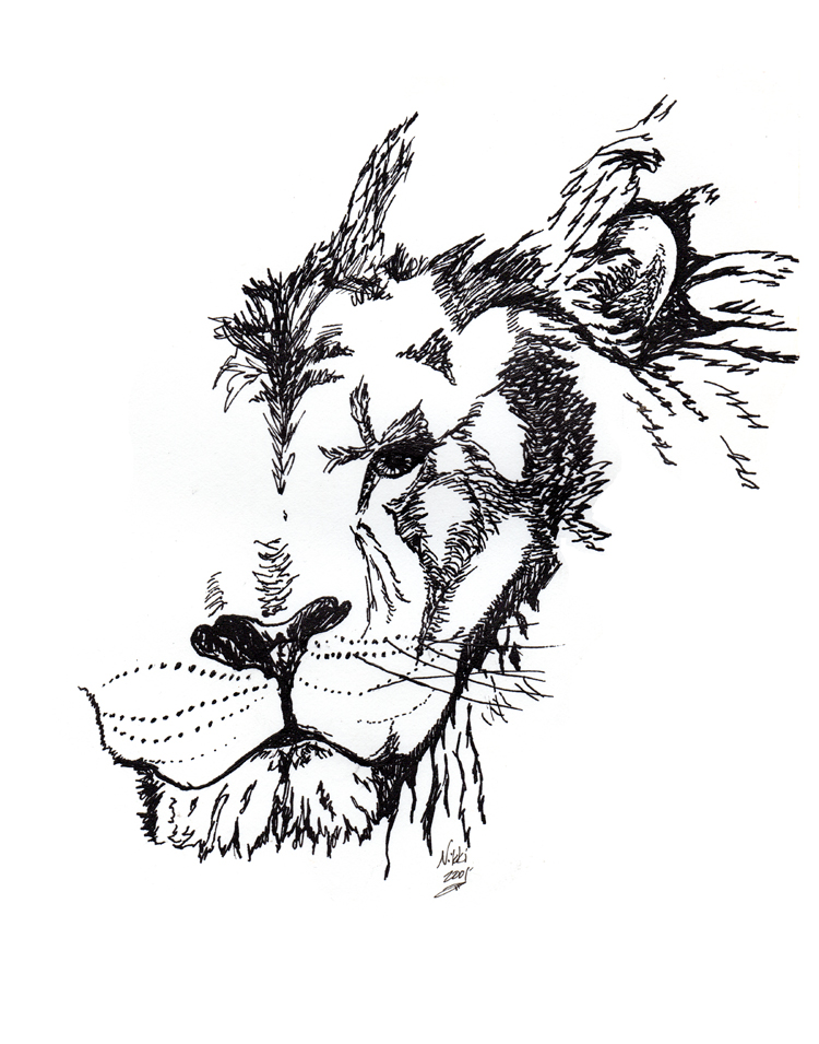 Lion ink drawing by Nikki