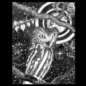 Owl - Ink Drawing - Alpha Omega Art Prints - Items for Sale