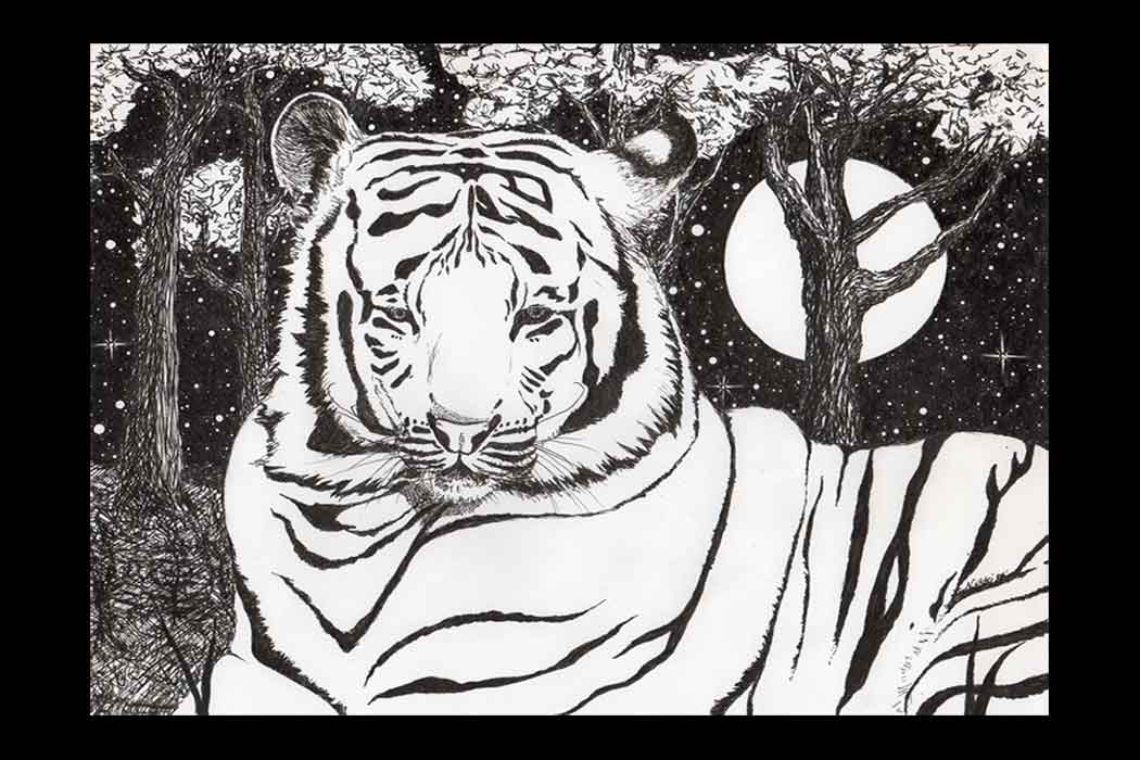 White Tiger original ink drawing by Nikki
