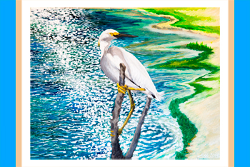 Original Painting by Nikki Ikonomopoulos - Port Aransas Shorebird
