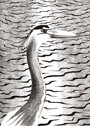 Blue Heron - Original Ink Drawing by Nikki