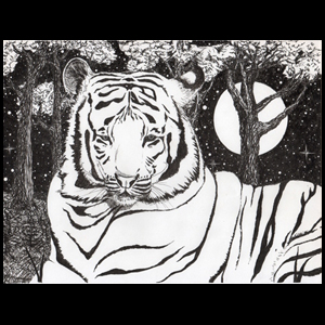 WhiteTiger - Ink Drawing - Alpha Omega Art Prints - Items for Sale