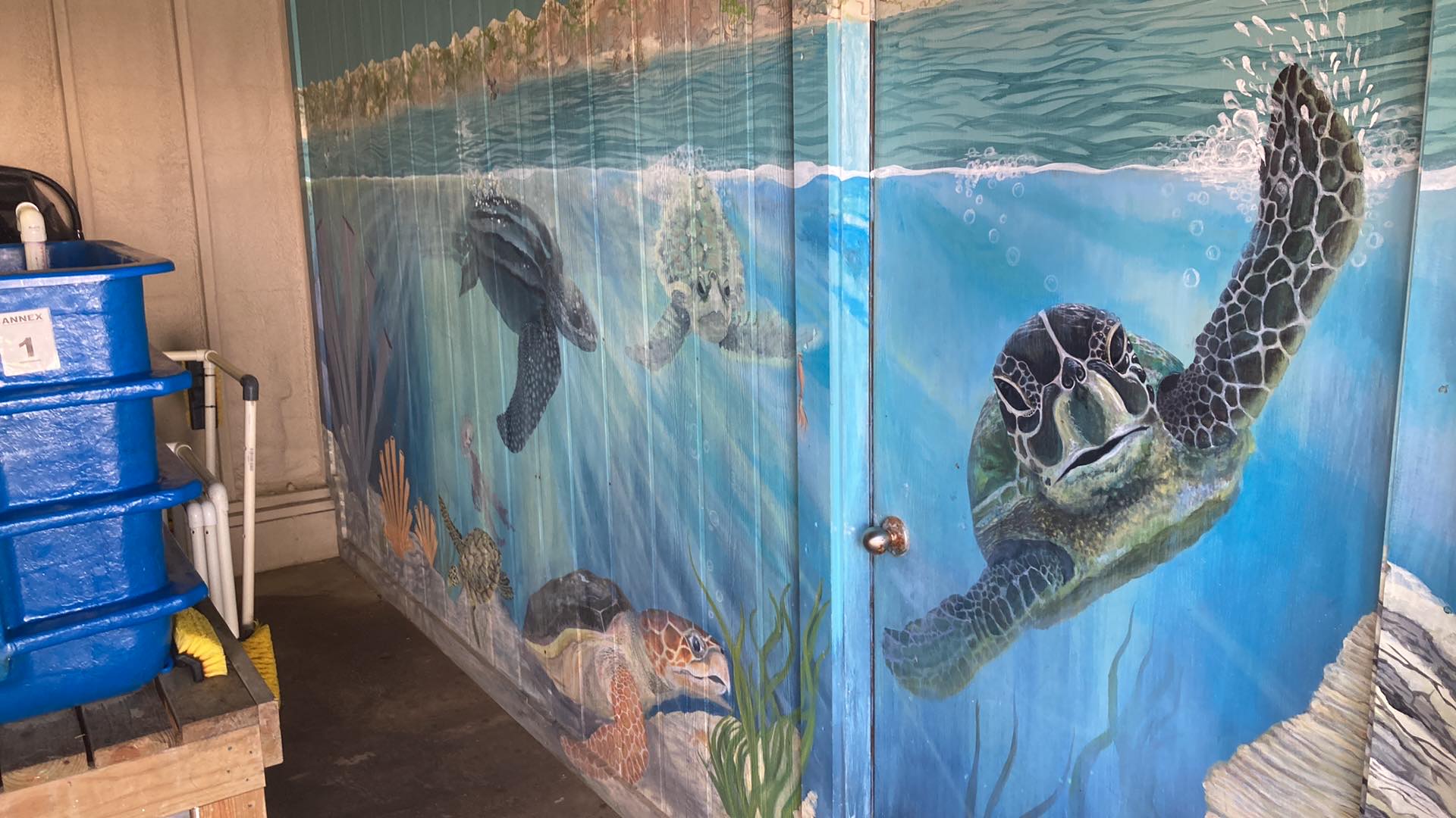 Mural painted for the Amos Rehabilitation Keep in Port Aransas, Texas.