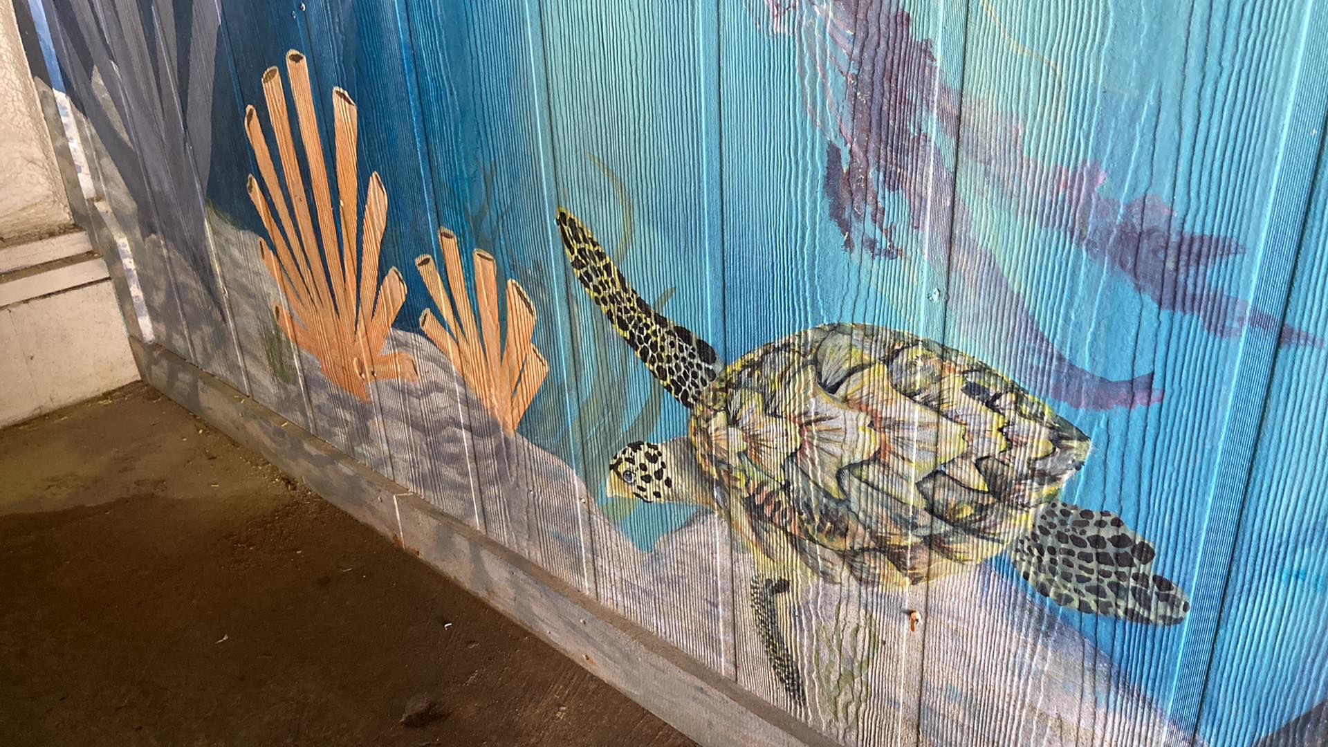 Mural painted for the Amos Rehabilitation Keep in Port Aransas, Texas.