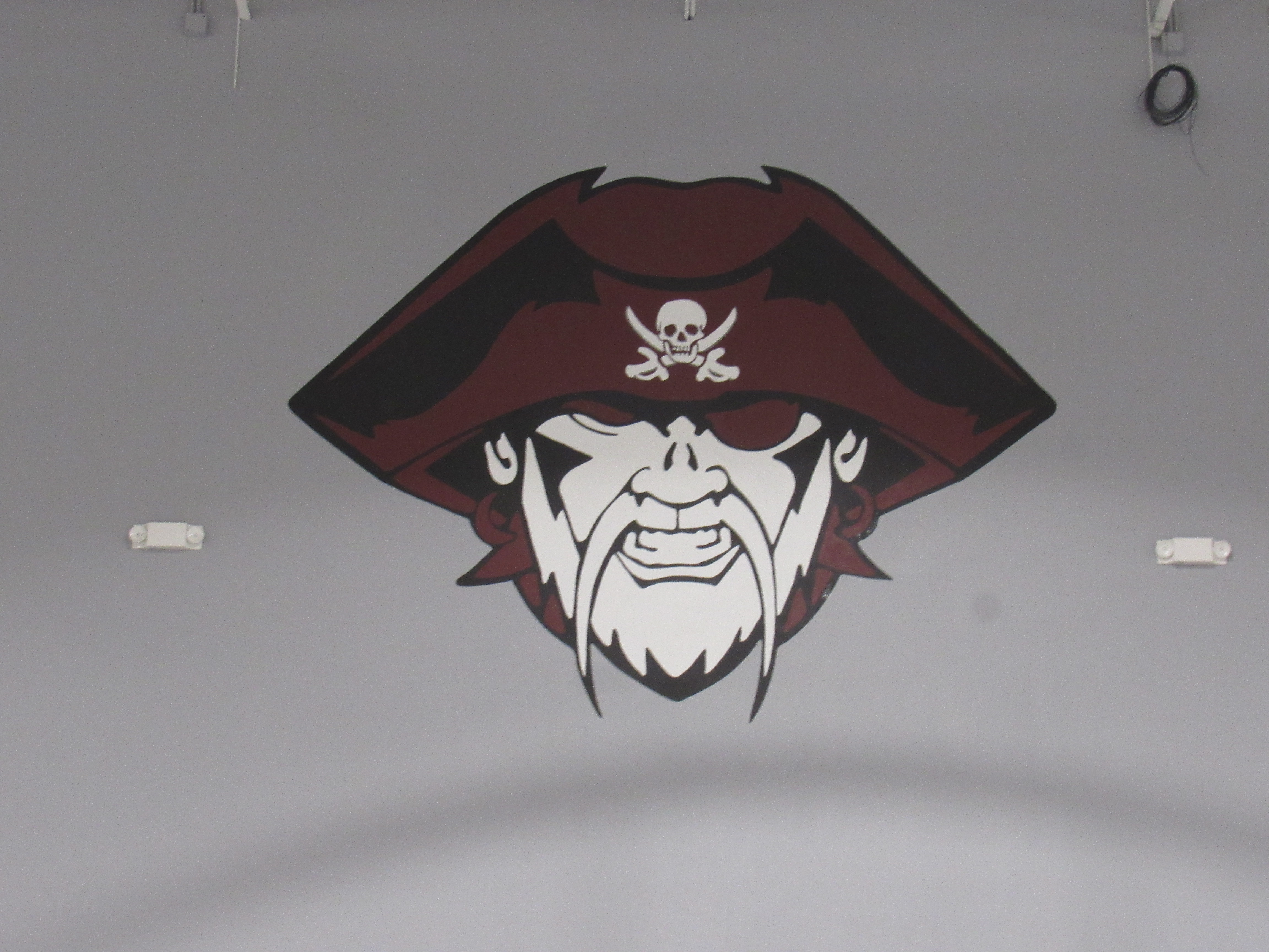 Murals we painted for the London Pirates in the School Gymnasium in Corpus Christi, Texas.